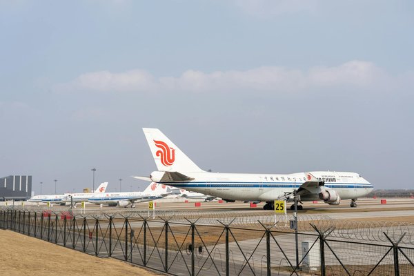 Quelles sont les astuces pour une expérience de plongée avec les baleines à bosse en Polynésie française ?