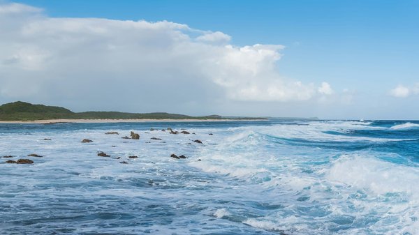 Découvrez les meilleures offres de vacances en guadeloupe au club med