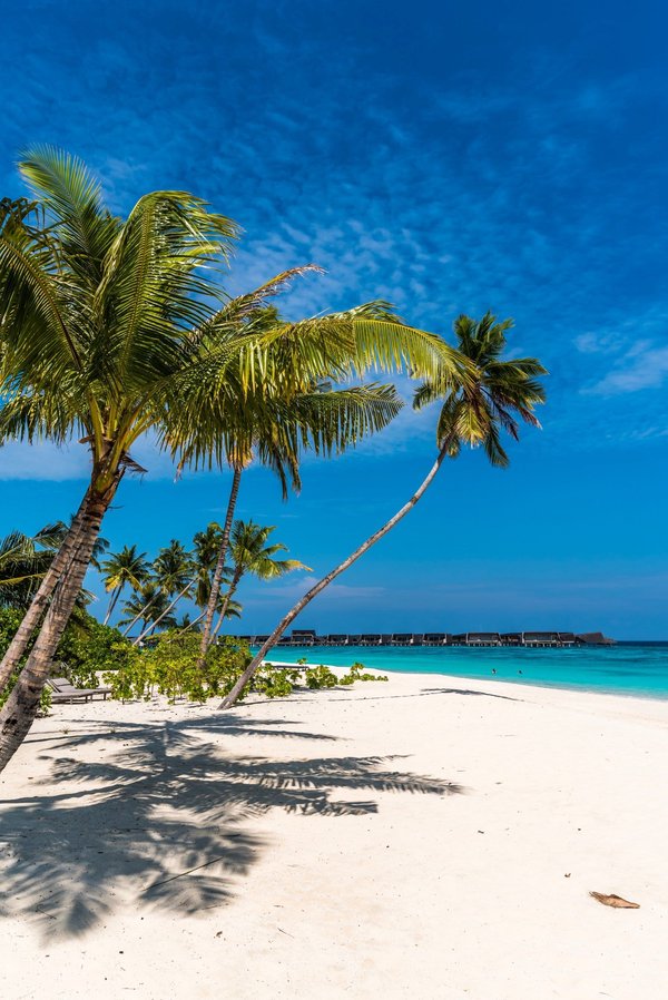 Réserver votre voyage aux maldives : astuces et conseils pratiques